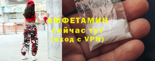 твердый Арсеньев