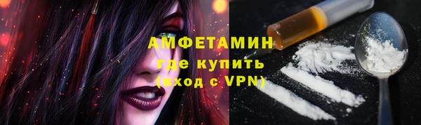 твердый Арсеньев