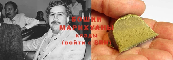 твердый Арсеньев