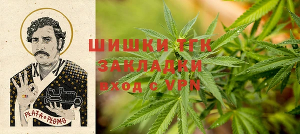 твердый Арсеньев