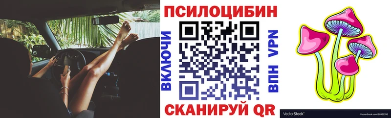 Псилоцибиновые грибы Psilocybine cubensis  купить наркоту  Озёры 